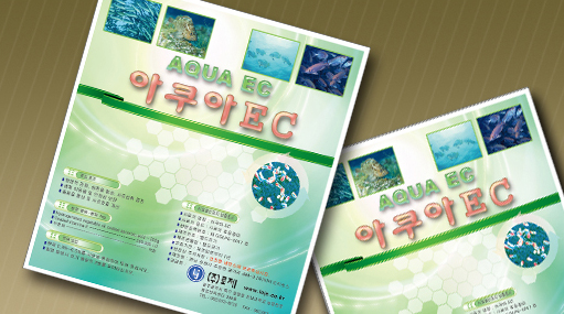 포트폴리오